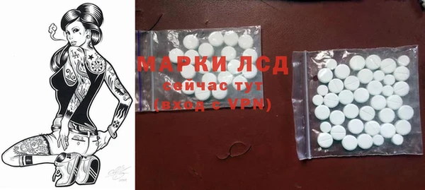 шишки Аркадак