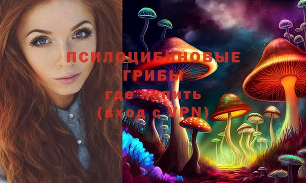 2c-b Пестово