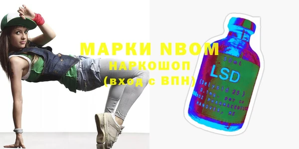 шишки Аркадак