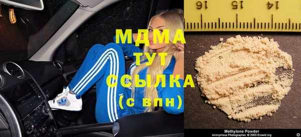 шишки Аркадак