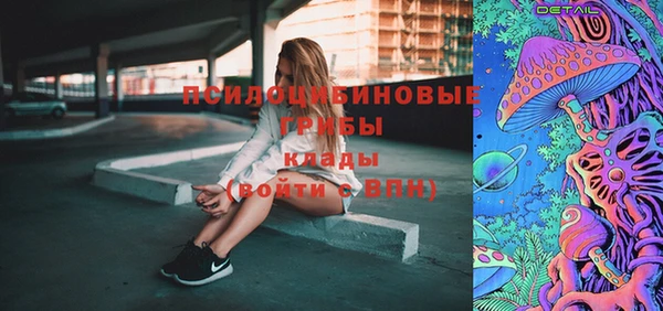 меф Арсеньев
