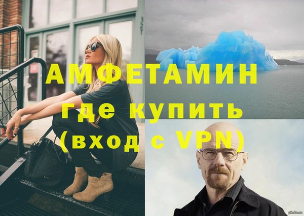 шишки Аркадак