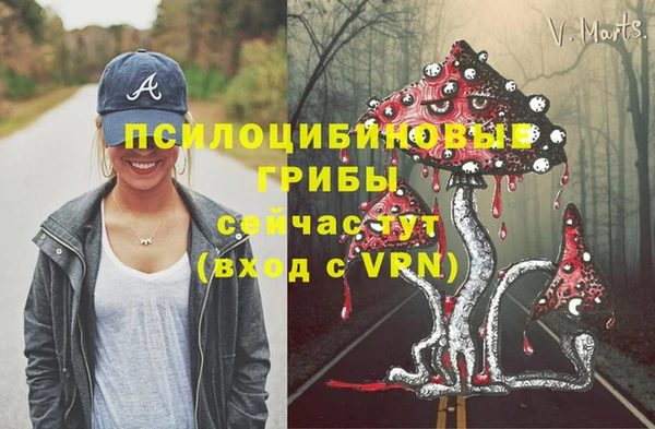 трава Переславль-Залесский