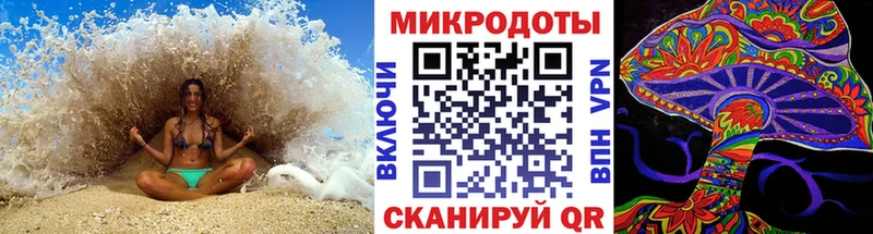цена   Павлово  гидра вход  Псилоцибиновые грибы GOLDEN TEACHER 